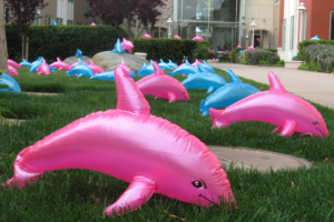 Blue and pink dolphins at work